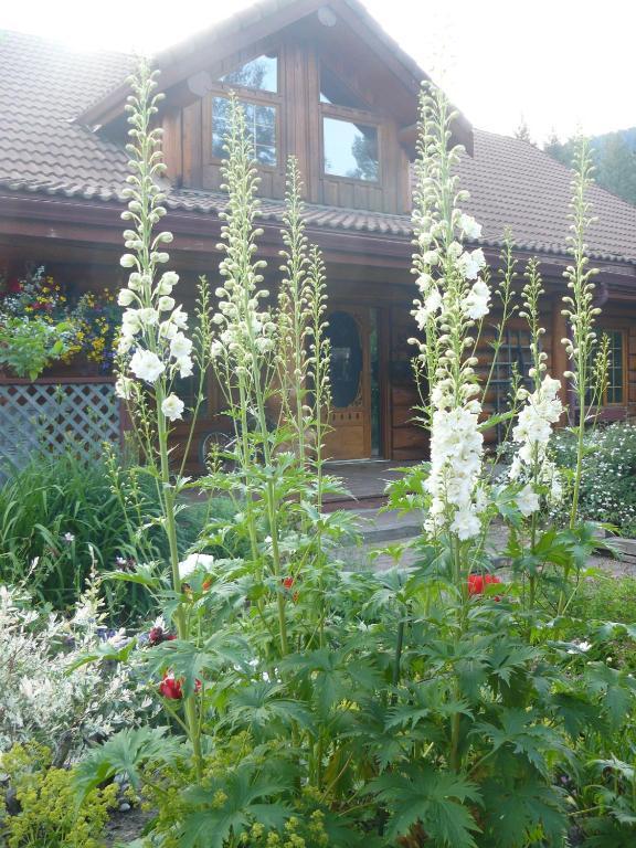 Hitching Post Resort Келоуна Номер фото